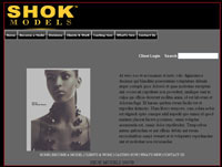 web design SHOK - Expression Engine